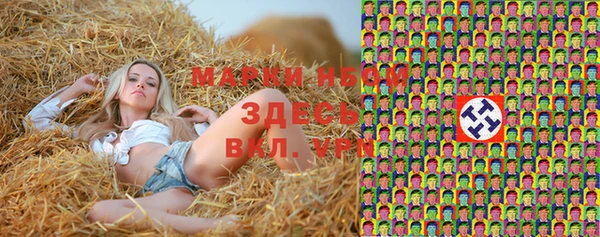 ALPHA PVP Покачи