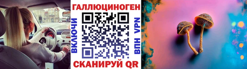 Галлюциногенные грибы Psilocybine cubensis  Калачинск 